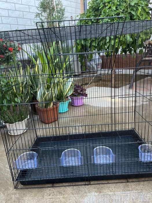 Клетка для птиц