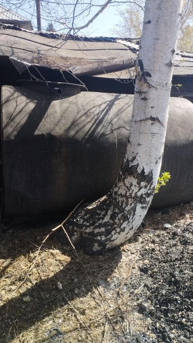 Продам цестерну цена 150000