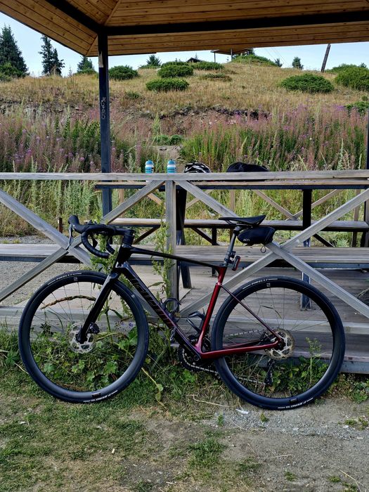 Giant Defy Advanced, 2025, carbon, M, 54