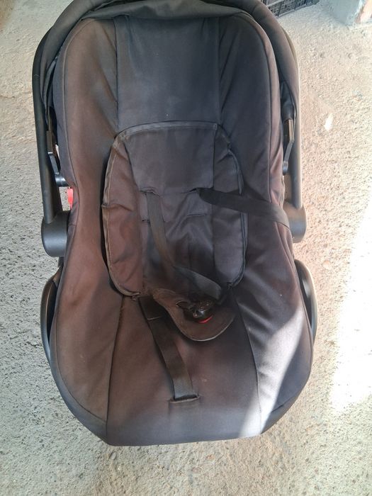 Scoica bebelusi ,arata foarte bine