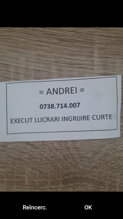 ExEcuT LucRAI INgRijiRE cuRTe