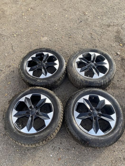 4- Донгелек шипы титанкаларымен