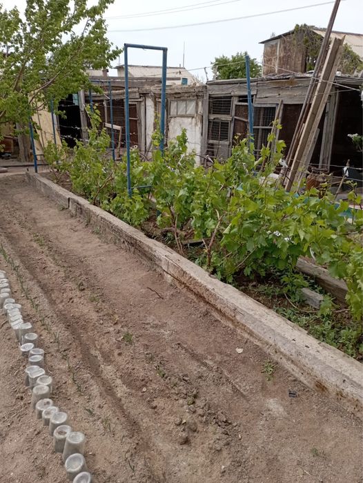 Продается дача на техснабе