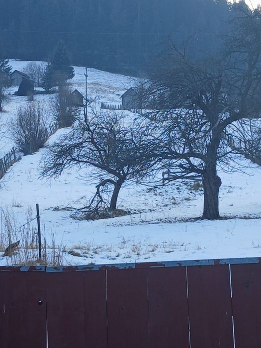 Casa,anexe teren 10.409 mp