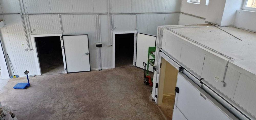 Închiriere/Vânzare spațiu industrial–depozit produse congelate