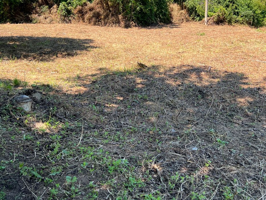 Продава се Парцел в Правец - 926 кв.м за 53 €/кв.м - Снимка #3