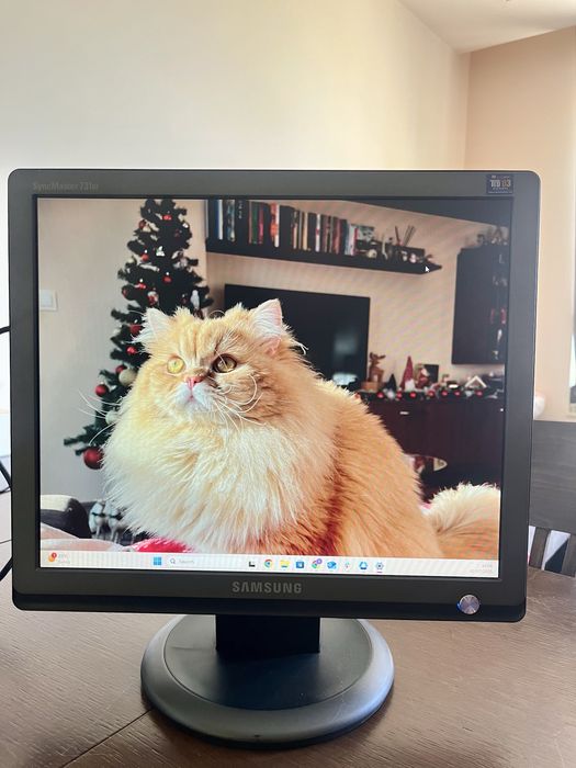 Монитор Samsung SyncMaster 731BF – 17” LCD (SXGA)