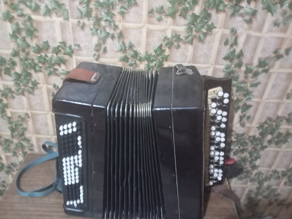 Баян музыкальный инструмент