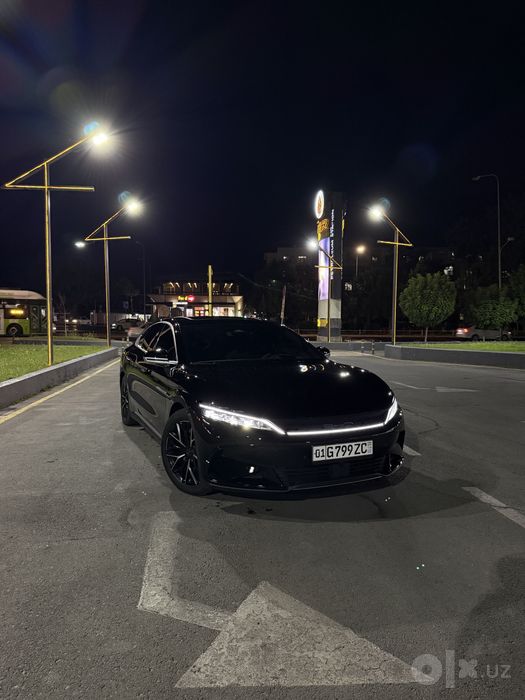 BYD  han 610km 3.9 sec