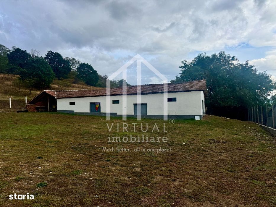 2 hale/depozite, 1850mp, deschidere 35m - Vestem