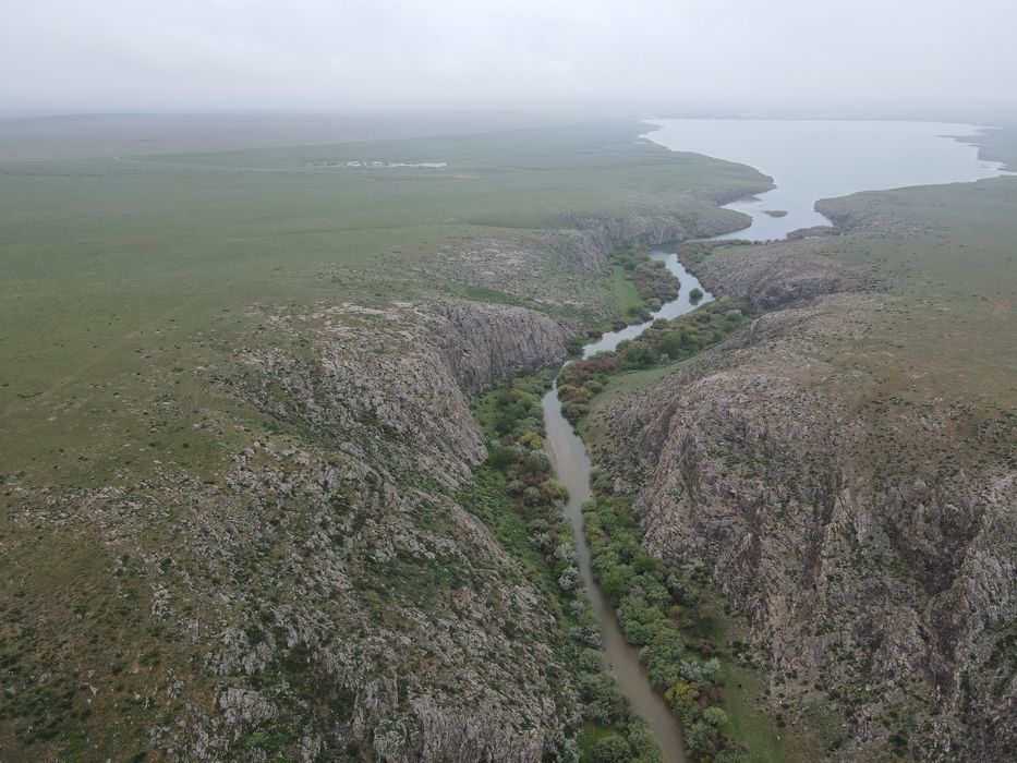 Дайын Қора 800-га жер телімі сатылады
