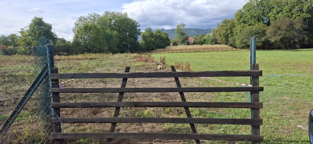 Teren de vanzare intravilan Bistra Muresului 4915 mp