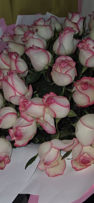 Гүл түнгі,біреуі бүгінгі