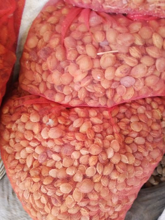 Oʻrik danak sotiladi