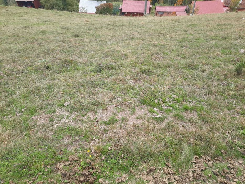 Teren în Arieșeni jud Alba