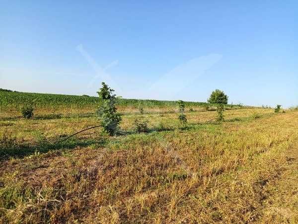 Парцел в Червен 85440