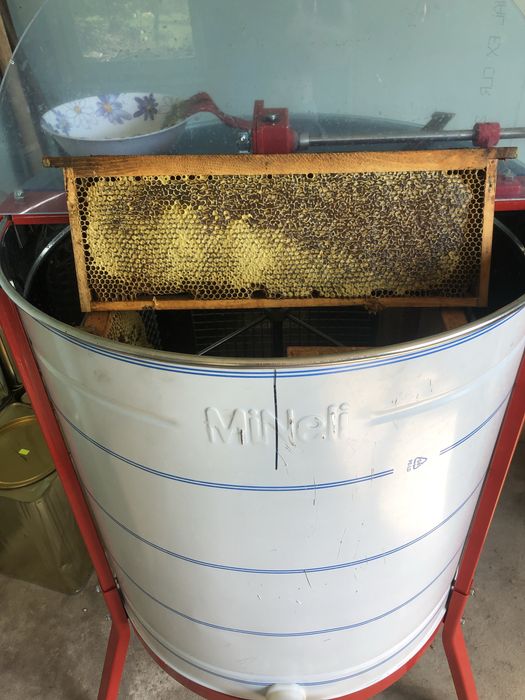 Чист натурален пчелен мед от Средна гора