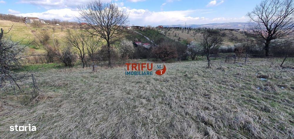 Teren 1654 mp zona Cetate Schit