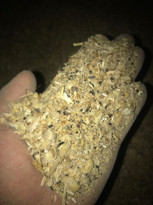 Зерносмесь, Зерноотход, пщеница сечка