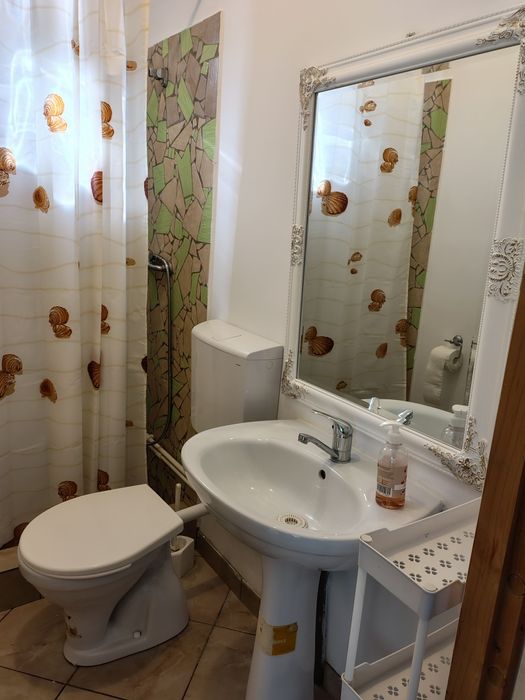 Închiriez un corp de casa Parc Carol