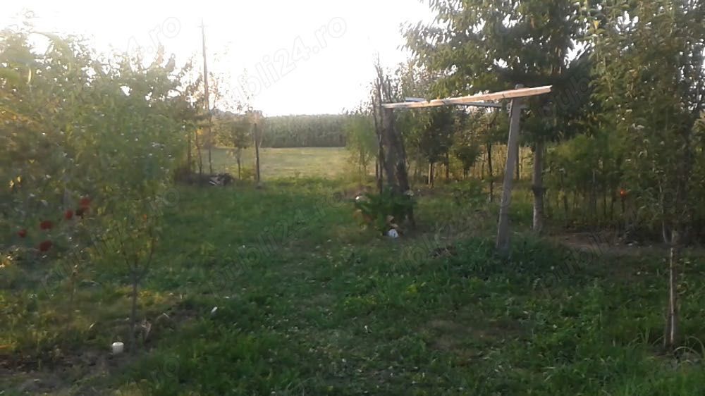 Vând casă cu teren 1500 mp – intimitate totală – Comuna Berceni, sat Cătunu (Prahova)