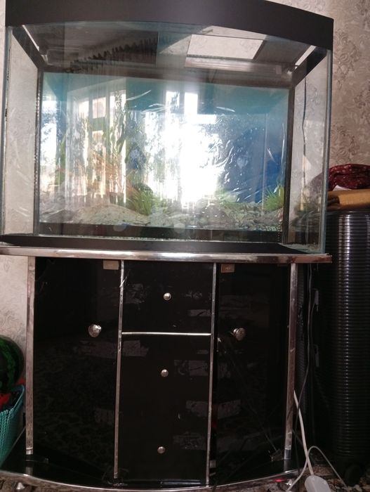 Аквариум сотилад холати коникарли четида азига теги бор лекин арзонга