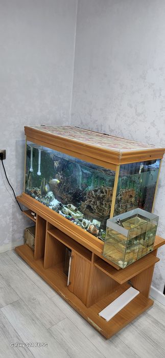 Аквариум для дома