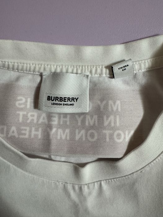 Burberry Horseferry Print