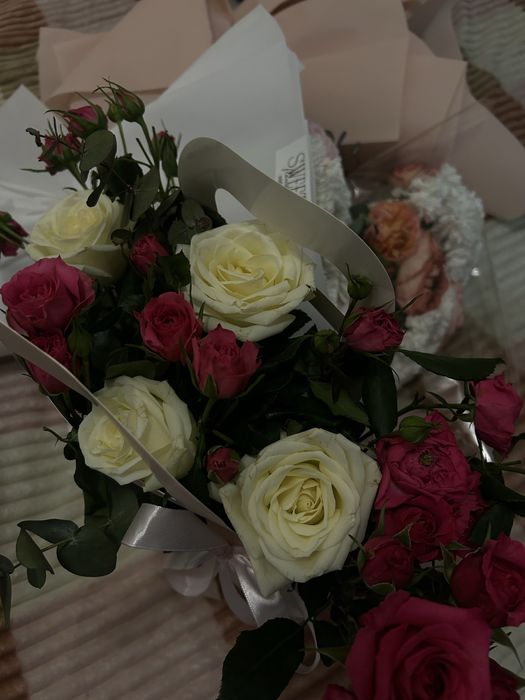 Продам цветы недерого