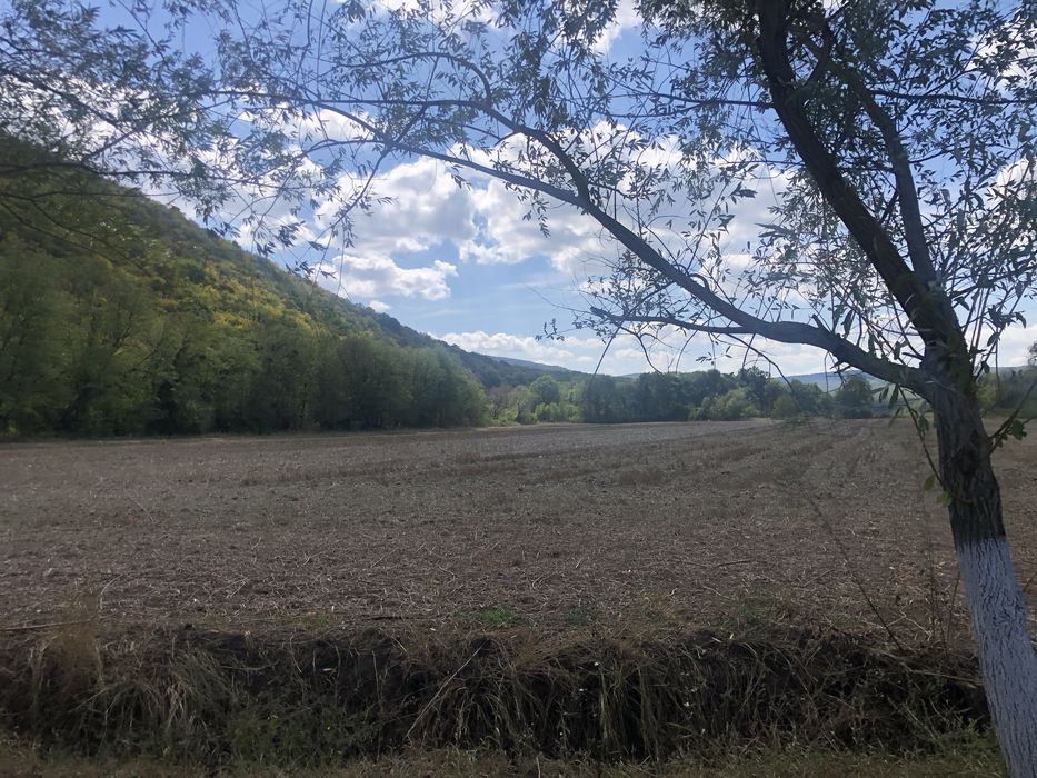 Casă bătrânească + teren 2900 mp în Slava Rusă, Tulcea