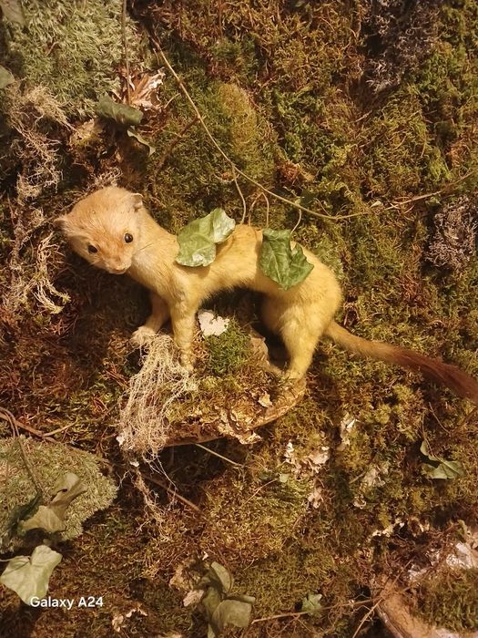 Tablouri de vânzare