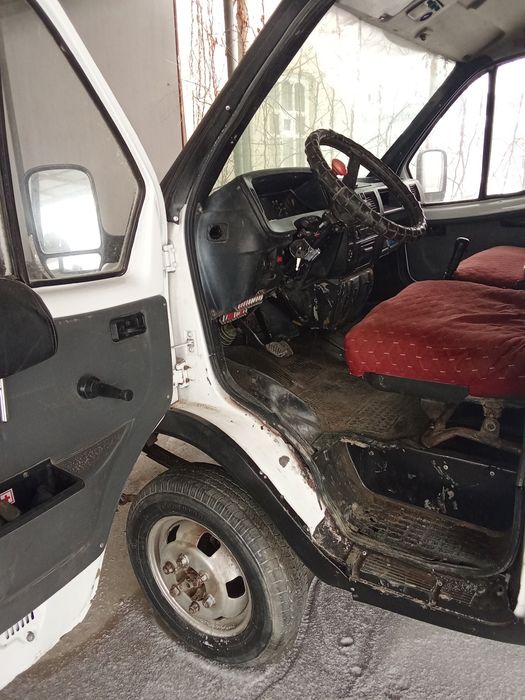 Газел бартавой 1997 жылгы