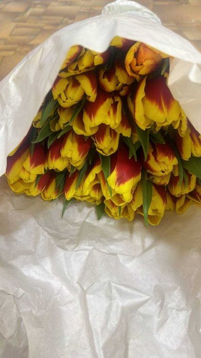 Премиальные тюльпаны