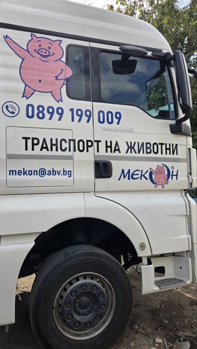 Транспорт и Изкупуване на животни