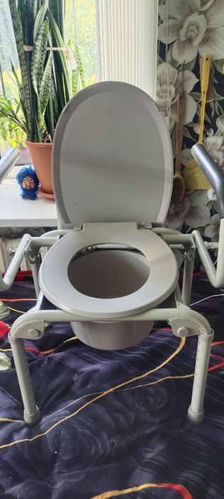 Санитарное кресло