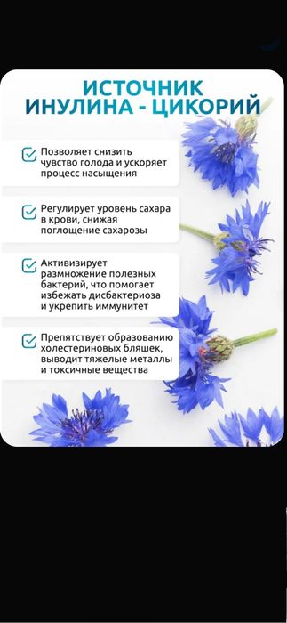 Инулин натуральный пребиотик, 120 капсул для микрофлоры кишечника