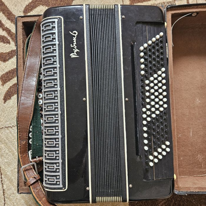 Баян рубин 6 готово выборный.