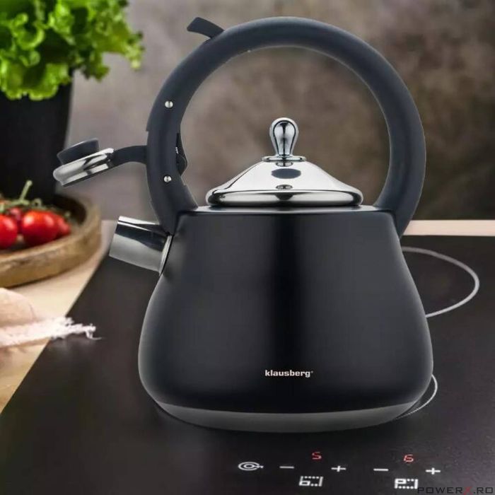 Ceainic, fierbator cu fluier, otel inoxidabil, negru cu elemente