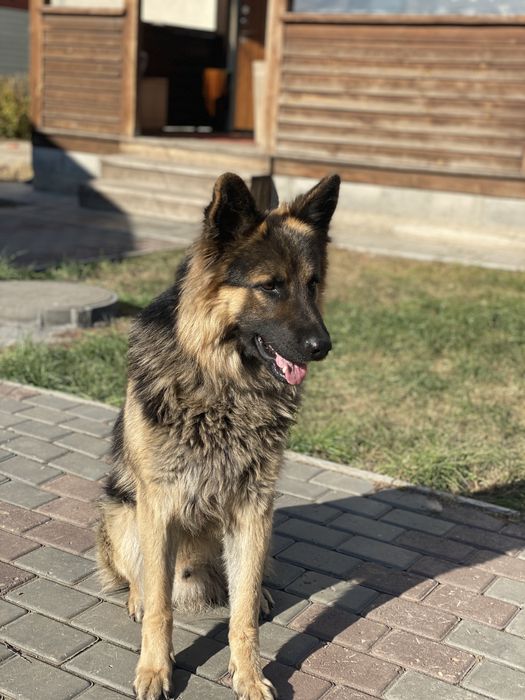 Кабель ВЕО на вязку