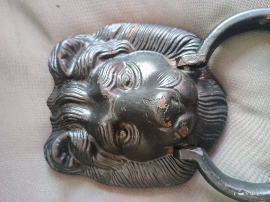 Ciocănitoar de usa.