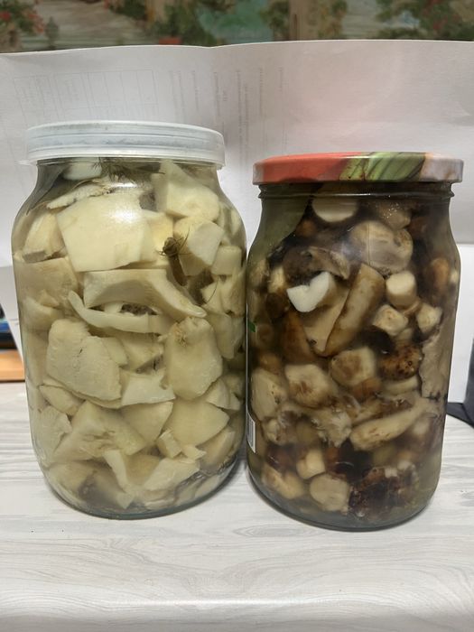 Продам грибы валуи и грузди