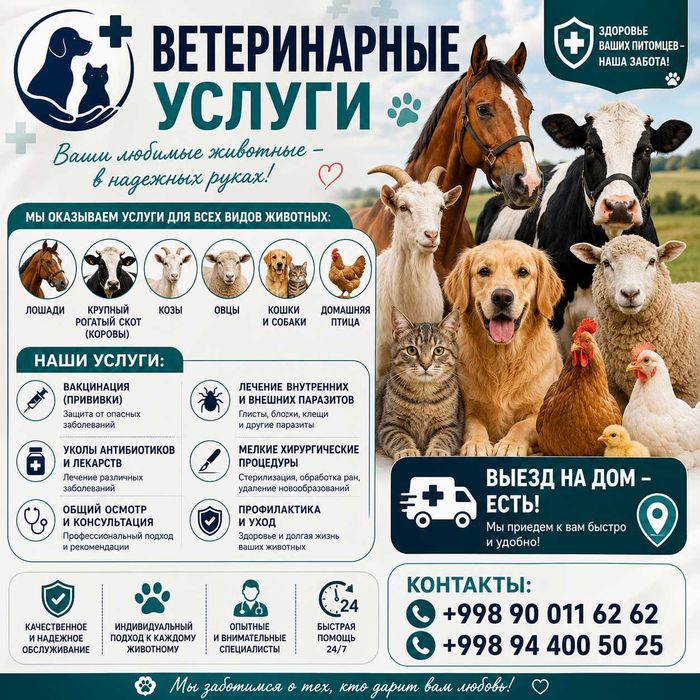 Ветеринарные услуги - "Vet house"