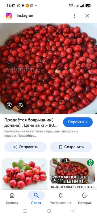 Долана  ( боярышник)