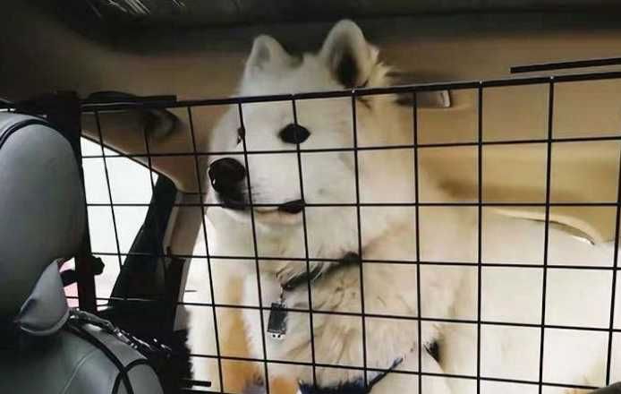 Нова Предпазна Преграда Решетка Мрежа за куче / кучета за кола * МЕТАЛ