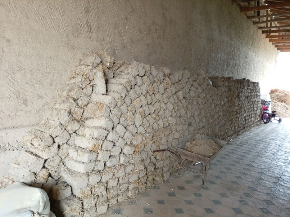 Лой гишт сотилади