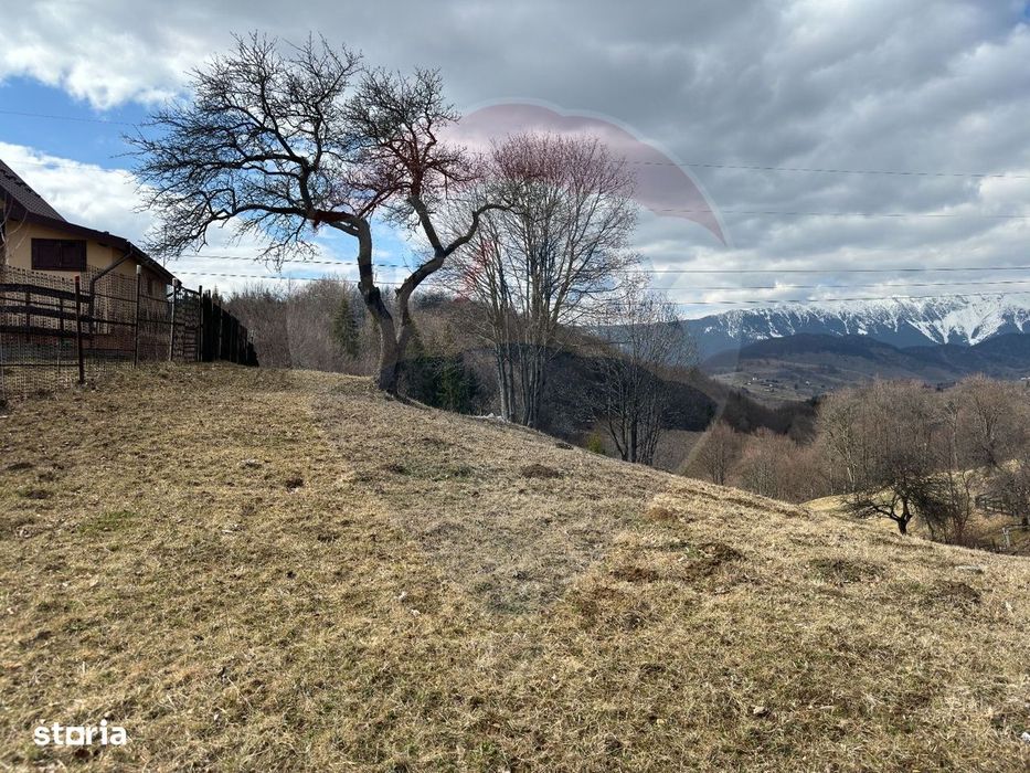 Teren Premium în Fundata: 3,784mp de Priveliște Panoramică