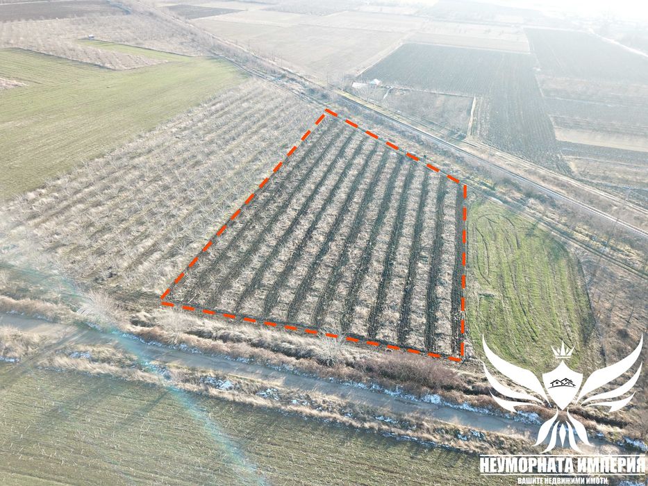 Продавам черешова градина 5800кв.м. в гр.Асеновград