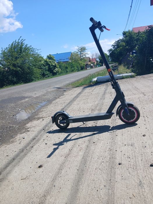Trotineta de pese sau întriga