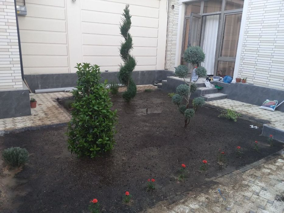 Pali fGazon xizmatlari