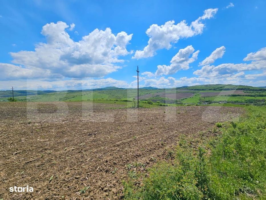 Teren Agricol, 5.800 mp, in Blajenii de Jos